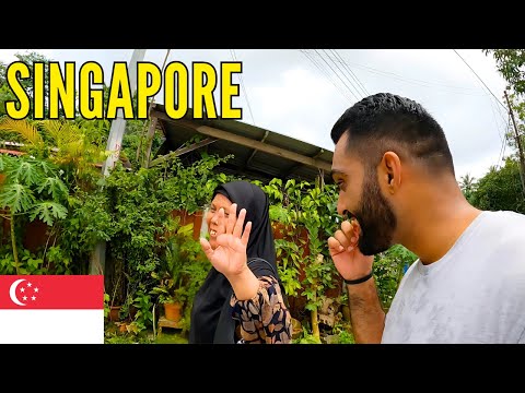 I Went To Singapore LAST Kampong (Village) - Things Got Akward