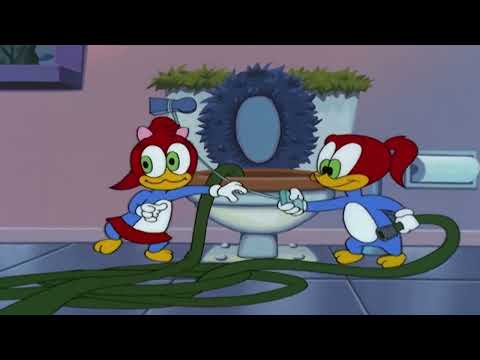 Woody Woodpecker s01e95