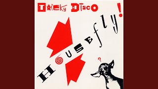House Fly (12" Mix)