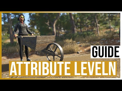 SCUM Guide 0.8 💪 So LEVELST du ATTRIBUTE am SCHNELLSTEN!