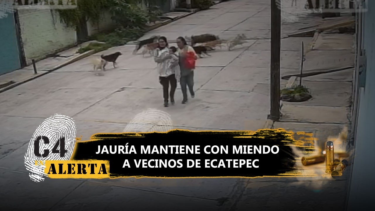 Jauría ataca y corretea a peatones; vecinos denuncian que autoridades no han accionado