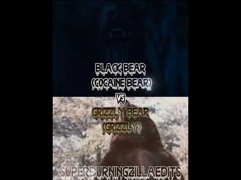 black bear | (Cocaine bear) Vs Grizzly bear (Grizzly) | #cocainebear #grizzly1976