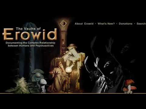 5 Levels of the Psychedelic experience