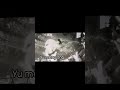 Justice Yu Menglong S Yumenglong Kpop Death Justice China Murder Actor Singer Youtube