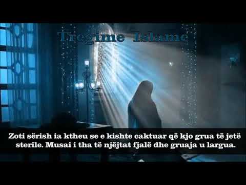 Gruaja që kërkoi nga profeti Musa a s ti lutet Zotit t’i jepte fëmijë-Super Video