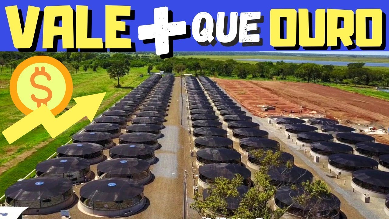 TOP 5 CRIAÇÕES EXÓTICAS QUE DÃO MUITO DINHEIRO MESMO EM PEQUENA CHACARA