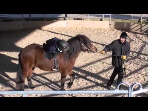 Erstes Aufsitzen - Kara vom alten Schlossberg