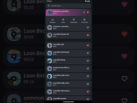 Loon Bird Sounds