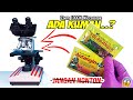 TOLAK ANGIN Vs ANTANGIN Di MIKROSKOP ZOOM 1000X