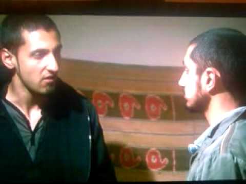 Four Lions Dancing in the moonlight and gays