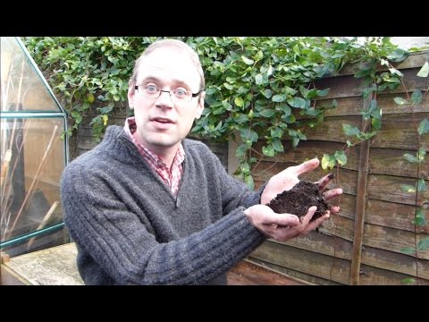 How to Fix Composting Problems: Smelly, Slimy or Slow Compost Bins