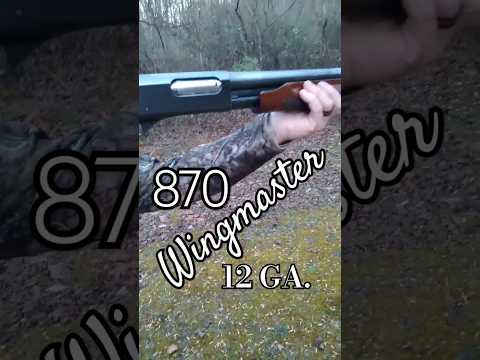 Remington 870: 20 gauge or 12 gauge?