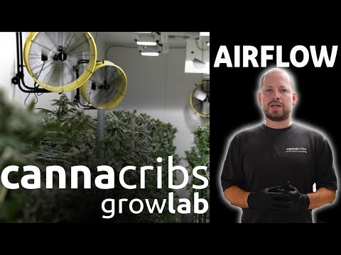 Optimizing Grow Room Airflow: Fans, Ventilation, Airflow Mapping & Advanced Techniques