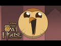 All Hooty Moments | The Owl House