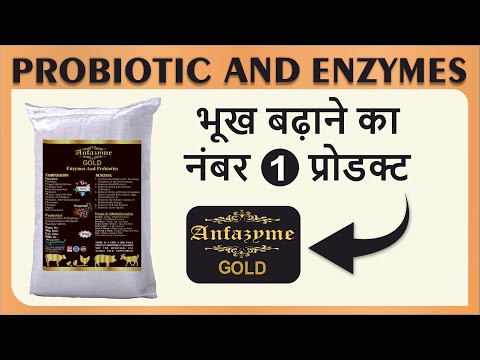 Anfotal nutritions animal feed enzyme (anfazyme gold), for c...