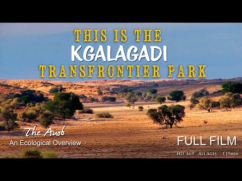 This is the Kgalagadi Transfrontier Park FILM - The Auob River - Kgalagadi Photography