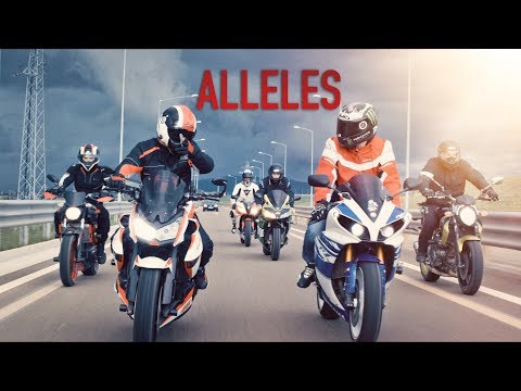 Ardian Bujupi - ALLELES (Official Video)