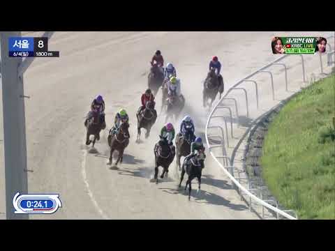 김태희 기수 🏇 42승 2023.06.04 제8경주  5번마 미스양호