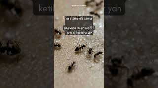 Download lagu Peribahasa Indonesia || ada gula ada semut #pribahasa #bahasaindonesia #ungkapan mp3