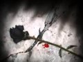 Alogia - Lament