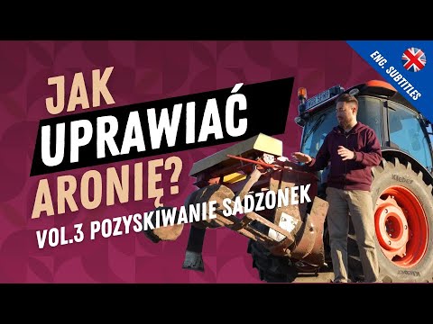 Zobacz filmy, Piotr Eggert Szkółka Specjalistyczna Aronii Czarnoowocowej, Kolonia Bądków