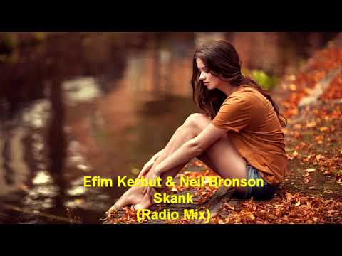 Efim Kerbut & Neil Bronson - Skank (Radio Mix)
