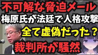 【保守党ももちゃん訴訟が急展開】不可解な脅迫メール。梅原氏が飯山氏への嘘を自白？有本氏が裁判所にきた理由は？百田代表は関与しているの？