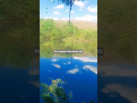 12 de novembro de 2025