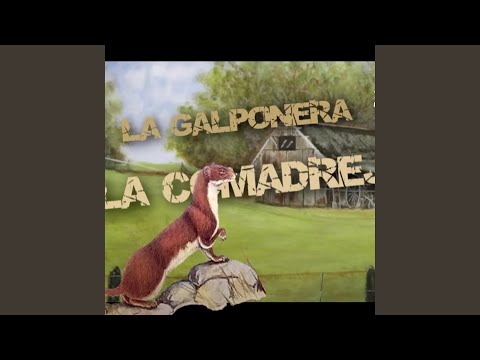 La galponera, La comadreja
