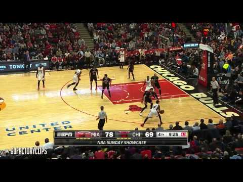 Hassan Whiteside Triple Double Highlights at Bulls 2015 01 25 |14 Pts,13 Reb,12 Blocks!