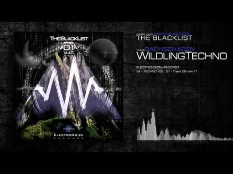 WildlingTechno - Dachschaden (ElectroNoize® VA Techno 01 - The Blacklist - Track 05)
