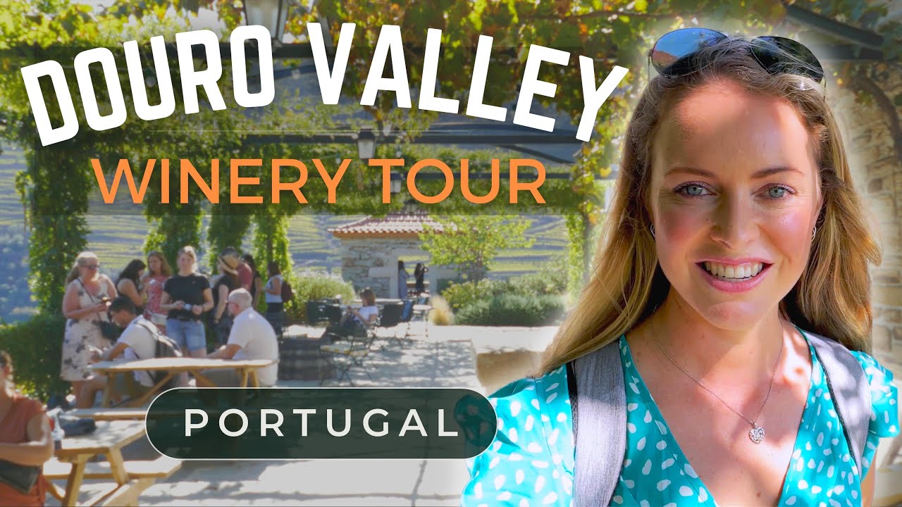 Join traveler on Douro Valley Wine Tour.