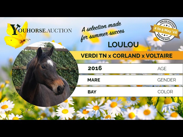 Loulou
