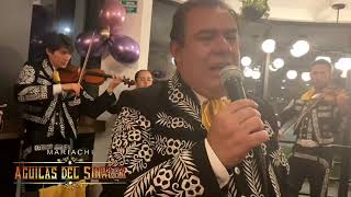 Video de Mariachi Águilas del Sinaloa
