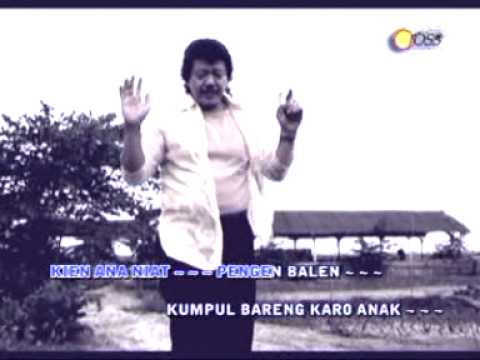 NOLAK BALEN | ESTA JOSS | OFFICIAL VIDEO MUSIC