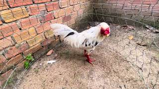 Tốp 3 bé từ 2t5-3t @762.8383.34