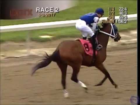 Dixie Serenade wins MSW PARX Sep 2