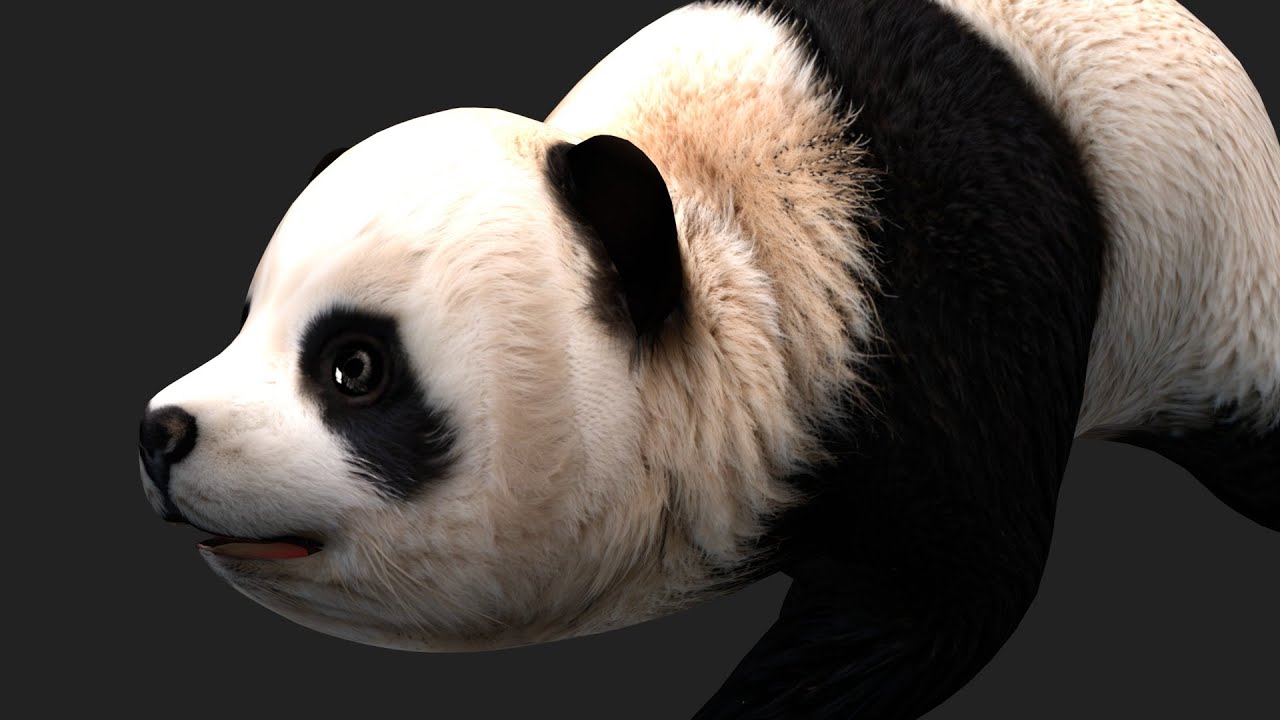 Panda-A2 Model 3D