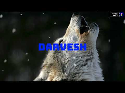 Darvesh 🖤 Firdavs Rep ft Begi Music