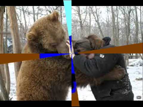 5perc-Pálferi-20120313-Sématerápia (1.rész)-Mi is a séma ?