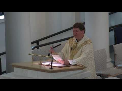 The Feast of the Presentation of the Lord. Homily. 2/2/2023