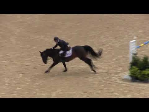 Video of SATOYAMA ridden by CARLOS QUINONES from ShowNet!