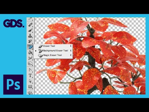Tracing a hand drawn sketch Converting to vector artwork Ep15 19 Adobe Illustrator for Beginners