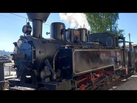 20220609 Waldbahn Moldovita