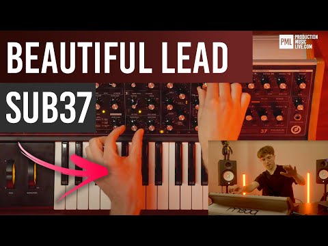 Moog Sub 37 Tutorial | Beautiful Lead Sound | Organic and Melodic House