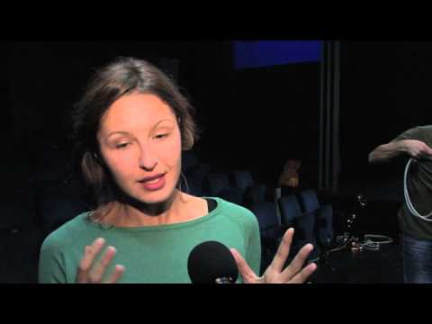 Izjava Iva Visković