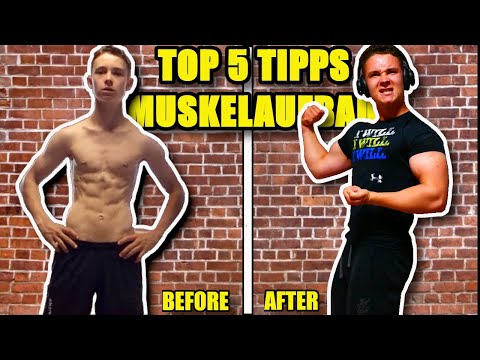TOP 5 Tipps für den schnellen MUSKELAUFBAU! | Anfänger und Einsteiger