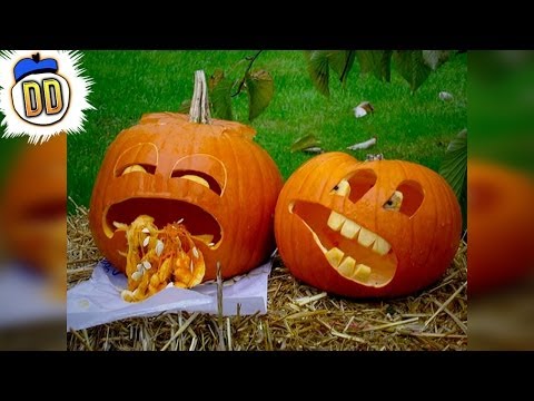 15の奇妙な＆驚くべきハロウィーンのお菓子 (15 Bizarre & Awesome Halloween Candy)