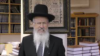 הרב הגאון אברהם יוסף שליט＂א האם אפשר לעבוד על הקדוש ברוך הוא פרשת נח תשפ＂ו (רבנים שונים) - התמונה מוצגת ישירות מתוך אתר האינטרנט יוטיוב. זכויות היוצרים בתמונה שייכות ליוצרה. קישור קרדיט למקור התוכן נמצא בתוך דף הסרטון