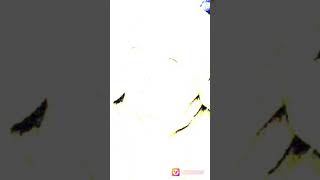 Download lagu NRHWZ, syasyarushdiena, syazayusuf , auniebasyierah mp3 Download lagu NRHWZ, syasyarushdiena, syazayusuf , auniebasyierah mp3